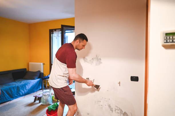 Best Attic Mold Remediation in St Maries, ID